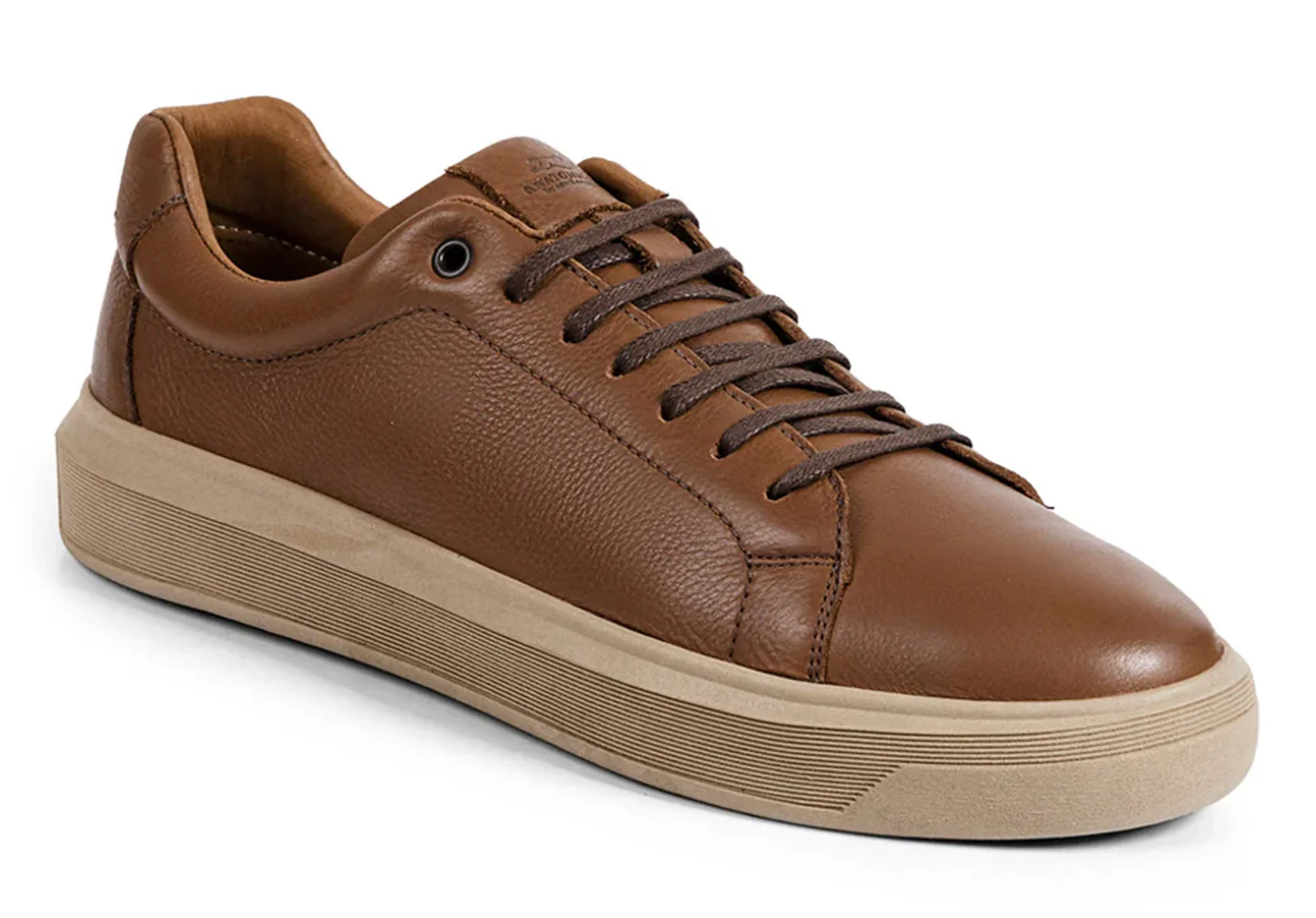 Anatomic Madeiro - Cedar